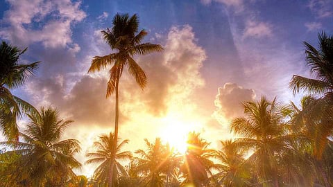 ചൂട് കൂടും! സംസ്ഥാനത്ത് ഇന്നും നാളെയും ഉയർന്ന താപനില മുന്നറിയിപ്പ്