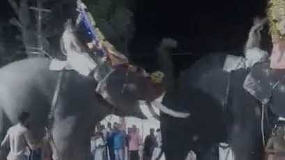 തിരുവല്ല ശ്രീവല്ലഭ ക്ഷേത്രത്തിൽ ആനയിടഞ്ഞ സംഭവം: ദേവസ്വം ജീവനക്കാരുൾപ്പടെ നാലുപേർക്കെതിരെ കേസ്