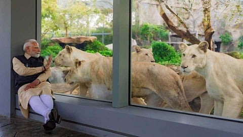 മൃഗങ്ങളോടൊപ്പം പ്രധാനമന്ത്രി; സന്ദർശനം അനന്ത് അംബാനിയുടെ വൻതാരയിൽ