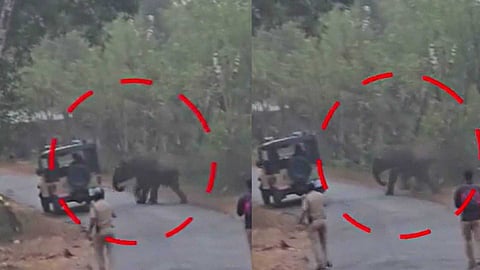 കണ്ണൂർ കരിക്കോട്ടക്കരിയിൽ കാട്ടാനയിറങ്ങി; അയ്യങ്കുന്ന് പഞ്ചായത്തിലെ മൂന്ന് വാർഡുകളിൽ നിരോധനാജ്ഞ