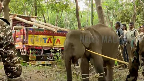 കണ്ണൂരിൽ താടിയെല്ല് തകർന്ന കാട്ടാനയെ മയക്കുവെടി വെച്ചു; തളച്ചുനിർത്തി ചികിത്സ നൽകുന്നു
