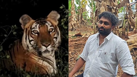 "വീഡിയോ ഞാൻ എഡിറ്റ് ചെയ്തത്, പറഞ്ഞതൊക്കെ നുണ"; കരുവാരക്കുണ്ടിലെ കടുവയുടെ വീഡിയോ വ്യാജം