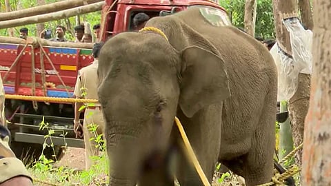 കണ്ണൂരിൽ കുട്ടിയാന ചരിഞ്ഞ സംഭവം: കൊട്ടിയൂർ റേഞ്ചിൽ കേസ് രജിസ്റ്റർ ചെയ്തു, പ്രത്യേക സംഘം അന്വേഷിക്കും