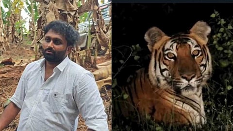 മലപ്പുറത്ത് കടുവയുടെ വ്യാജ വീഡിയോ പ്രചരിപ്പിച്ച സംഭവം; കരുവാരക്കുണ്ട് സ്വദേശി ജെറിന് അറസ്റ്റില്