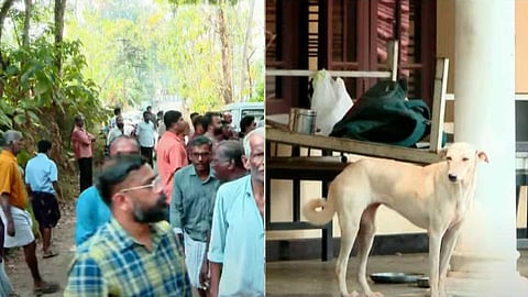 'ദുസ്സഹമായ ദുർഗന്ധവും കുരയും'; കുന്നത്തുനാട്ടിൽ തെരുവുനായകളെ കൂട്ടത്തോടെ പാർപ്പിച്ചിരുന്ന വീട്ടിൽ പ്രതിഷേധവുമായി നാട്ടുകാർ