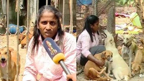 തെരുവു നായകൾക്കായി ജീവിതം തന്നെ മാറ്റിവെച്ചു; മിണ്ടാപ്രാണികളെ സ്വന്തം മക്കളെ പോലെ സംരക്ഷിക്കുന്ന സുനിത