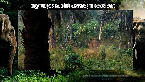 കോടികള് മുടക്കിയുള്ള പദ്ധതികളെല്ലാം പാഴാകുന്നു; കാട്ടാന ഭീതിയില് ജീവിതം തള്ളി നീക്കി ആറളത്തെ ജനങ്ങള്