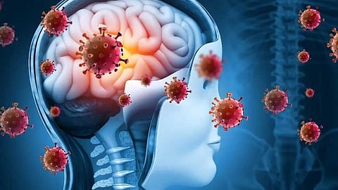 കളമശേരിയില് മെനിഞ്ചൈറ്റിസ് സ്ഥിരീകരിച്ച വിഥ്യാർഥികളുടെ എണ്ണം മൂന്നായി; സ്കൂളിന് ഒരാഴ്ച്ചത്തേയ്ക്ക് അവധി