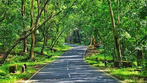 വന്യമൃഗശല്യം രൂക്ഷം: അതിരപ്പള്ളി, വാഴച്ചാൽ, മലയാറ്റൂർ മേഖലകളിൽ സൗരോർജ തൂക്കുവേലി സ്ഥാപിക്കാൻ ഒരുങ്ങി വനം വകുപ്പ്