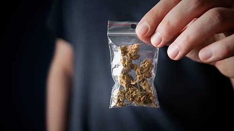 കഞ്ചാവുമായി പത്താം ക്ലാസുകാരൻ പിടിയിൽ; പരിശോധനയ്ക്കിടെ എക്സൈസ് ഉദ്യോഗസ്ഥനെ തള്ളി താഴെയിട്ടു