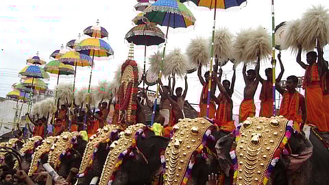 'ആന എഴുന്നള്ളത്ത് ചരിത്രപരമായി സംസ്കാരത്തിൻ്റെ ഭാഗം'; ഹൈക്കോടതിയെ വിമർശിച്ച് സുപ്രീം കോടതി