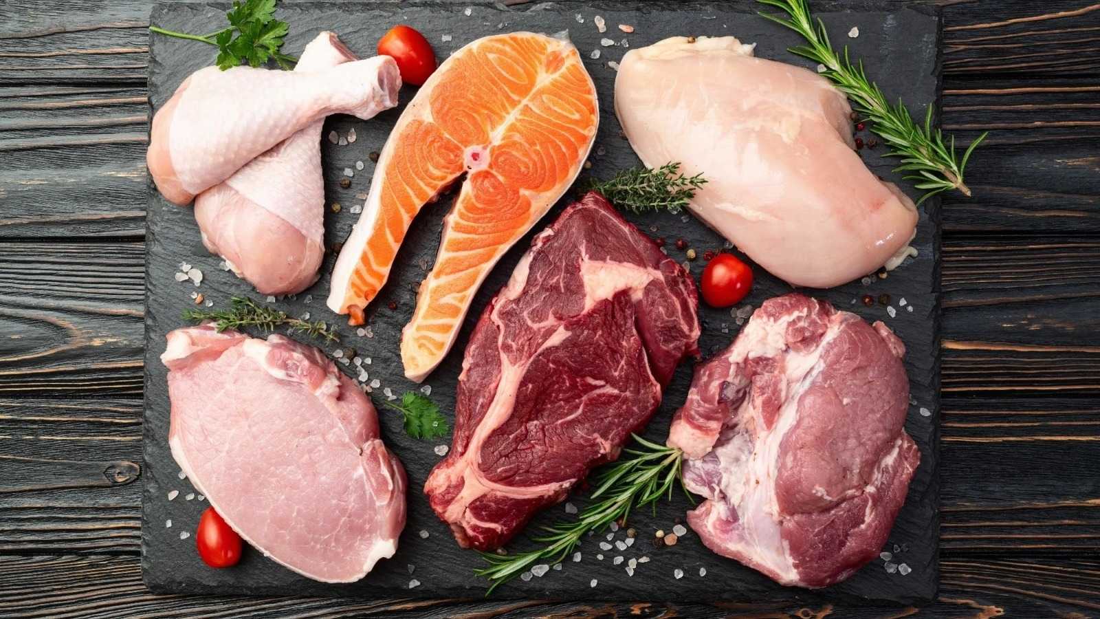 ഡയറ്റിൽ മത്സ്യവും മാംസവും മാത്രം, ശരീരത്തിൽ പ്രോട്ടീൻ്റെ അളവ് കൂടി, യുഎസ് ഇൻഫ്ലുവൻസർ ഗുരുതരാവസ്ഥയിൽ