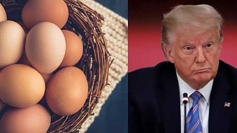 മുട്ടയ്ക്ക് വേണ്ടി ലിത്വാനിയയെ സമീപിച്ച് യുഎസ്; വാതിലുകൾ തോറും മുട്ടി യാചനയെന്ന് പരിഹാസം, ട്രംപിനെ ട്രോളി സോഷ്യൽ മീഡിയ