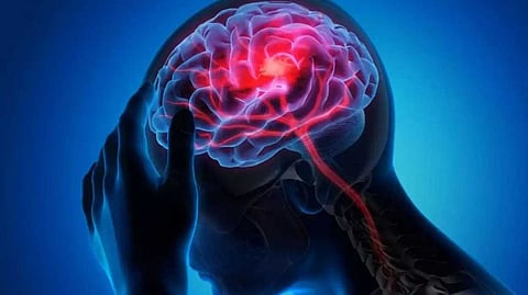 കാക്കനാട് എല്പി സ്കൂള് വിദ്യാര്ഥിനിക്ക് മസ്തിഷ്കജ്വരം; ഗുരുതരാവസ്ഥയില് ചികിത്സയില്