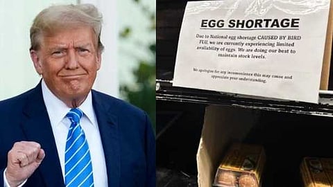 മുട്ട ക്ഷാമം: തുർക്കി, ദക്ഷിണ കൊറിയ എന്നിവിടങ്ങളിൽ നിന്ന് മുട്ടകൾ ഇറക്കുമതി ചെയ്യാൻ യുഎസ്