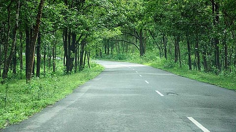 ബന്ദിപ്പൂർ യാത്രാ നിരോധനത്തിൽ പുതിയ സത്യവാങ്മൂലം സമർപ്പിക്കാൻ കർണാടക സർക്കാർ; സുപ്രീംകോടതി രജിസ്ട്രാർക്ക് കത്ത് നൽകി