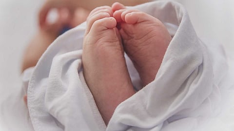 ഇടുക്കിയിൽ നവജാത ശിശുവിന്റെ മൃതദേഹം ഏലത്തോട്ടത്തിൽ; നായ്ക്കൾ കടിച്ചു വലിച്ച നിലയിൽ