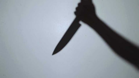 കൊല്ലം പനയത്ത് ക്ഷേത്രോത്സവത്തിനിടെ രണ്ട് പേർക്ക് കുത്തേറ്റു; ഒരാൾ മരിച്ചു