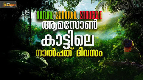 ആമസോണ് കാട്ടിലെ നാല്പ്പത് ദിവസം