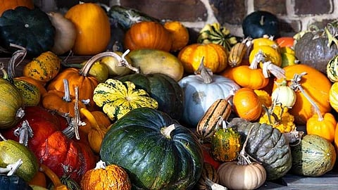 മത്തങ്ങ നിസാരക്കാരനല്ല; ഡയറ്റിൽ ഉൾപ്പെടുത്തിയാൽ ഗുണങ്ങളേറെ!