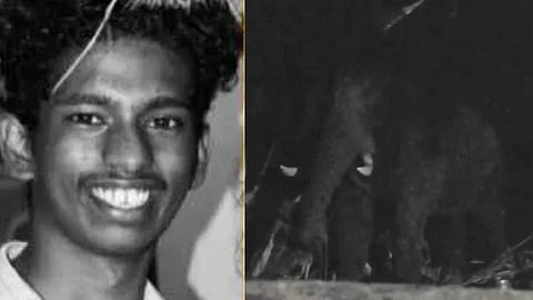 ചുള്ളിമട ജനവാസ മേഖലയിൽ വീണ്ടും കാട്ടാന; നിരീക്ഷണം ശക്തമാക്കി വനം വകുപ്പ്