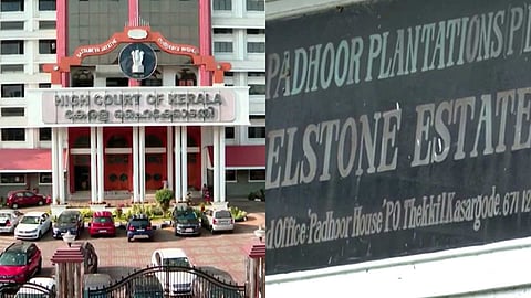 വയനാട് പുനരധിവാസം: എൽസ്റ്റൺ എസ്റ്റേറ്റ് ഭൂമിക്ക് 17 കോടി അധികം കെട്ടിവെക്കണമെന്ന് ഹൈക്കോടതി