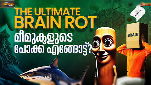 'ഗാസയിലെ കുഞ്ഞുങ്ങളെ ബോംബിട്ട് കൊല്ലുന്ന തിമിംഗലം'! ട്രെൻഡിങ്ങായി ബ്രെയിൻ റോട്ട് മീമുകളും വിചിത്ര തമാശകളും