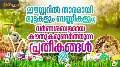 വർണക്കാഴ്ചയൊരുക്കി കൗതുകമുണർത്തും സമ്മാനങ്ങൾ; വിപണിയിൽ താരം ഈസ്റ്റർ മുട്ടയും ബണ്ണികളും