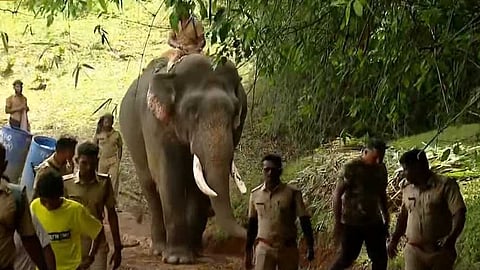 മേപ്പാടി കാട്ടാന ആക്രമണം: അക്രമകാരിയായ കാട്ടാനയെ കണ്ടെത്താനായില്ല, തെരച്ചിൽ നാളെ പുനരാരംഭിക്കും