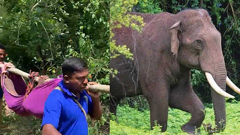 അട്ടപ്പാടിയിൽ കാട്ടാന ആക്രമണം; അറുപത് വയസുകാരന് പരിക്ക്