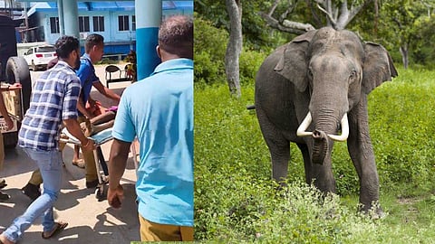 വീണ്ടും ജീവനെടുത്ത് കാട്ടാന; അട്ടപ്പാടിയിൽ കാട്ടാന ആക്രമണത്തിൽ പരിക്കേറ്റ 60കാരൻ മരിച്ചു