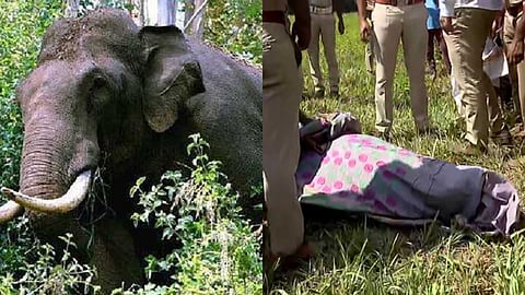 വന്യജീവി ആക്രമണം: സവിശേഷ ദുരന്തമായി പ്രഖ്യാപിച്ചിട്ടും നഷ്ടപരിഹാര തുക ഉയർത്താതെ സംസ്ഥാന സർക്കാർ