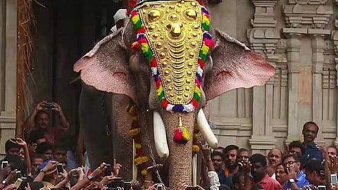 തൃശൂർ പൂരത്തിന് തിടമ്പേറ്റാൻ രാമനെത്തും! തെച്ചിക്കോട്ടുകാവ് രാമചന്ദ്രന് ഫിറ്റ്നസിന് പച്ചക്കൊടി