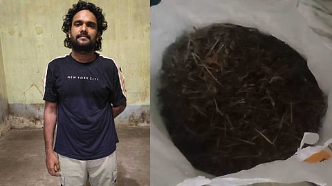 കഞ്ചാവുമായി യുവ സംവിധായകൻ പിടിയിൽ; എക്സൈസ് കണ്ടെടുത്തത് 3 കിലോയോളം കഞ്ചാവ്