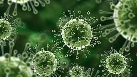 മലപ്പുറത്തെ നിപ രോഗി ഗുരുതരാവസ്ഥയിൽ തുടരുന്നു; 49 പേർ സമ്പർക്ക പട്ടികയിൽ