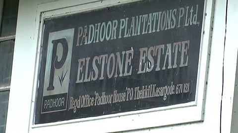 എൽസ്റ്റൺ എസ്റ്റേറ്റ് തൊഴിലാളികളുടെ ആനുകൂല്യങ്ങൾ ലഭ്യമാക്കണം; സർക്കാർ വീണ്ടും കോടതിയിലേക്ക്