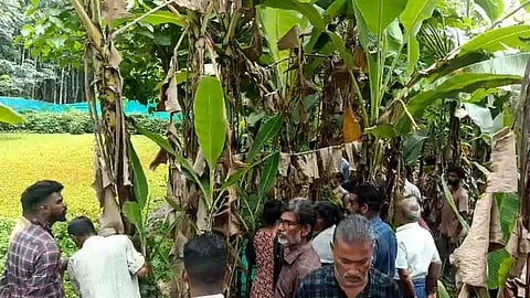 കോട്ടയം ചങ്ങനാശ്ശേരിയിൽ പാറകുളത്തിൽ വീട്ടമ്മയുടെ മൃതദേഹം കണ്ടെത്തി