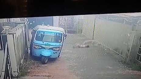 കോഴിക്കോട് രണ്ടിടങ്ങളിൽ തെരുവുനായ ആക്രമണം; കുട്ടികൾക്ക് പരിക്ക്