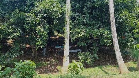 "ശരീരത്തില് ചൂരല്കൊണ്ട് അടിച്ച പാടുകള്"; പൊലീസ് കസ്റ്റഡിയിലെടുത്ത് വിട്ടയച്ച സുരേഷിന്റെ മരണത്തില് ദുരൂഹതയെന്ന് കുടുംബം