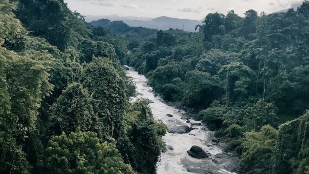 ജലനിരപ്പ് ക്രമാതീതമായി ഉയരാന് സാധ്യത; കോഴിക്കോട് പുഴകളില് ഇറങ്ങുന്നതിന്
കർശന നിയന്ത്രണം