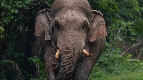 പ്രതീകാത്മക ചിത്രം