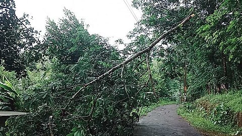 സംസ്ഥാനത്ത് മഴക്കെടുതി; കെഎസ്ഇബിക്ക് 26.89 കോടിയുടെ നഷ്ടം