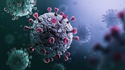 ഇന്ത്യയിൽ രണ്ട് പുതിയ കോവിഡ് വകഭേദങ്ങൾ കൂടി കണ്ടെത്തി; ഭീതി വേണ്ടെന്ന് ലോകാരോഗ്യ സംഘടന