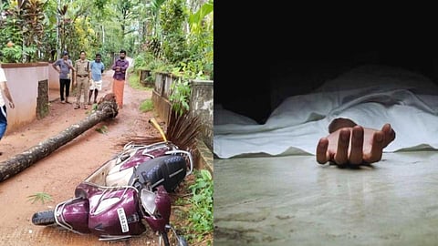 വടകരയിൽ തെങ്ങ് കടപുഴകി വീണ് ബൈക്ക് യാത്രികൻ മരിച്ചു