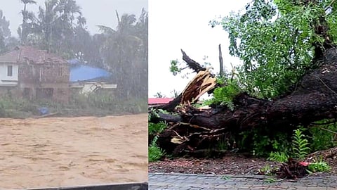 നാശം വിതച്ച് പെരുമഴ; സംസ്ഥാനത്ത് വ്യാപക നാശനഷ്ടം; ആറ് മരണം നിരവധി പേർക്ക് പരിക്ക്