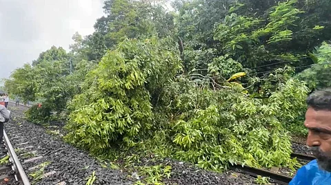 കോഴിക്കോട് വീണ്ടും റെയിൽവേ ട്രാക്കിന് മുകളിൽ മരം വീണു; ശാശ്വത പരിഹാരം ഉണ്ടാക്കുമെന്ന് മന്ത്രി റിയാസ്