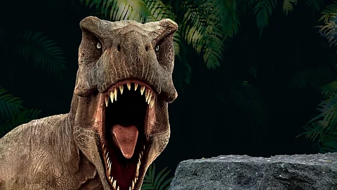 மீண்டும் டைனோசர்கள்: Dinosaur கருமுட்டையை கண்டறிந்த சீன விஞ்ஞானிகள்