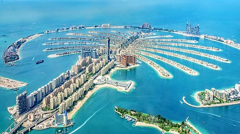 Palm Island