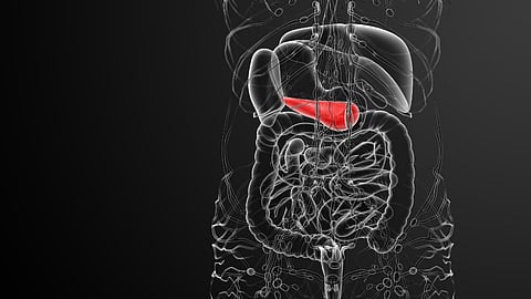 பித்தம்