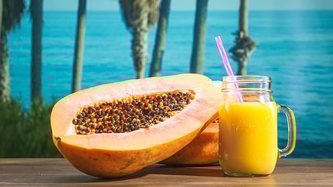 பாவம் இந்தப் பப்பாளி